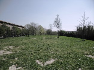 giardino della scuola primaria Laura Poli